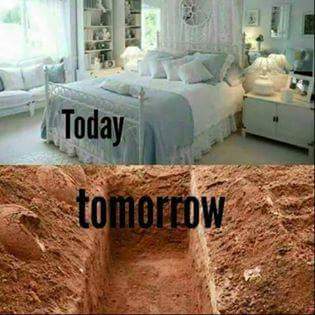 IMG_91761350304366.jpeg image